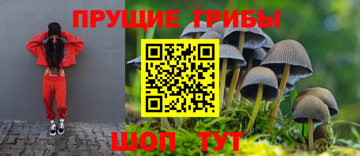COCAIN  ГАШ  Петрозаводск  Вход с VPN  Мефедрон   Конопля  ГЕРОИН  НБОМе 