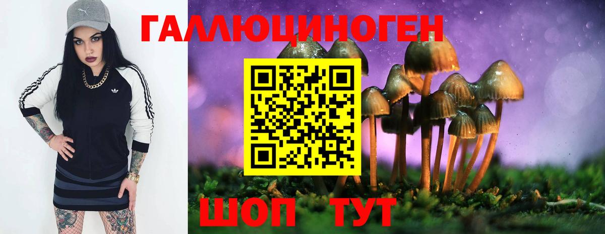 Галлюциногенные грибы Psilocybe Петрозаводск